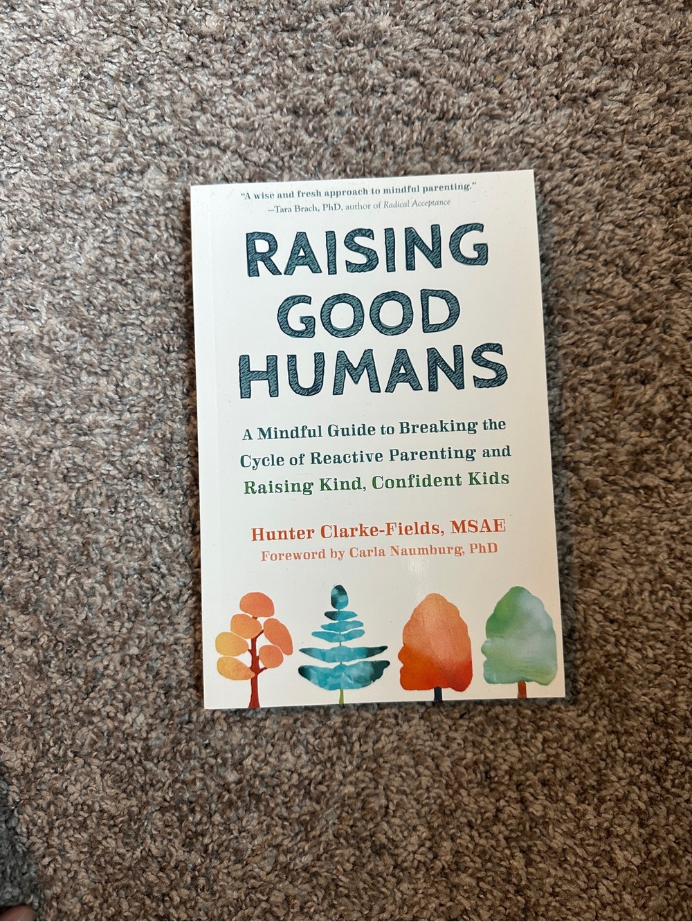 Raising Good Humans by Hunter Clarke-Fields – White Cover with Multicolor Trees